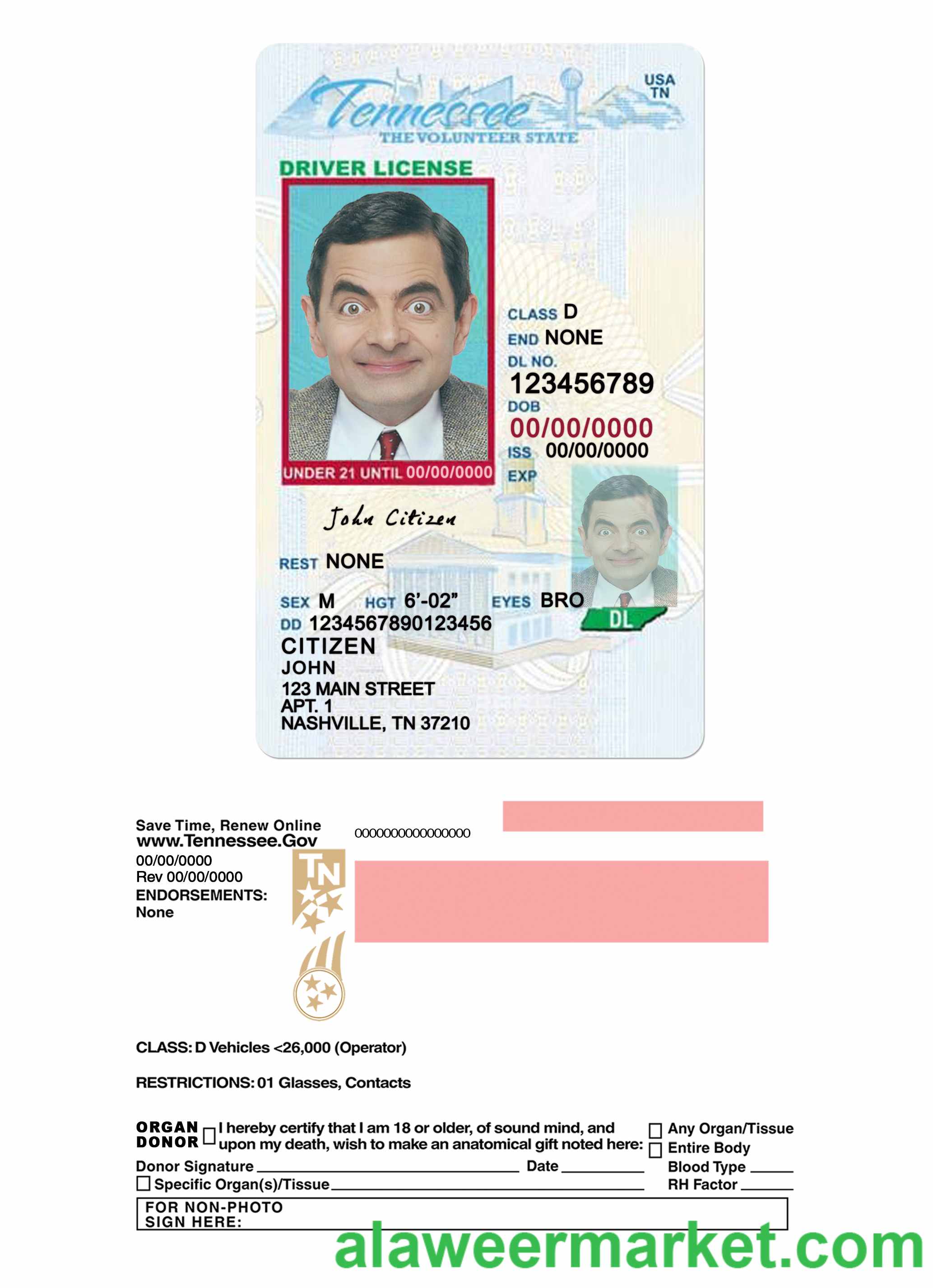 USA Tennessee driving license under 21